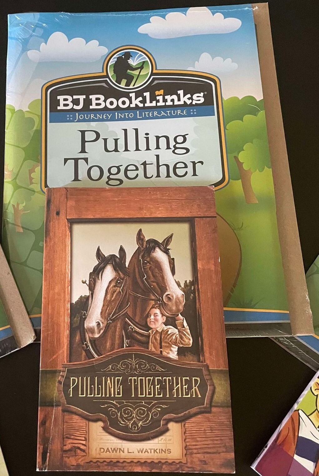Bob Jones Booklinks Journey Into Literature Set