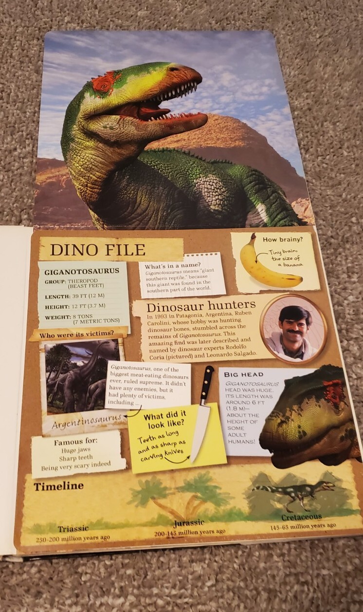 Lot Of 4 Children’s Dinosaur Picture Books Educational Fold Out Flaps 1 Vintage