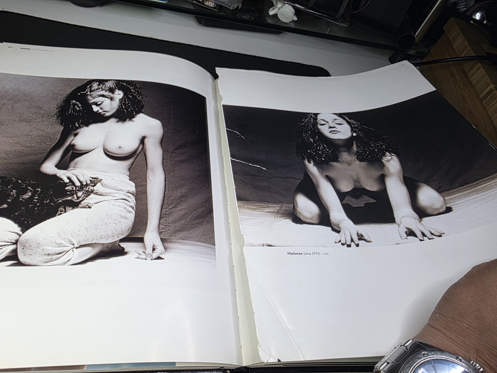 Playboy: the Celebrities by Hugh Hefner (2006, Hardcover) MISSING PAGES ⚠️