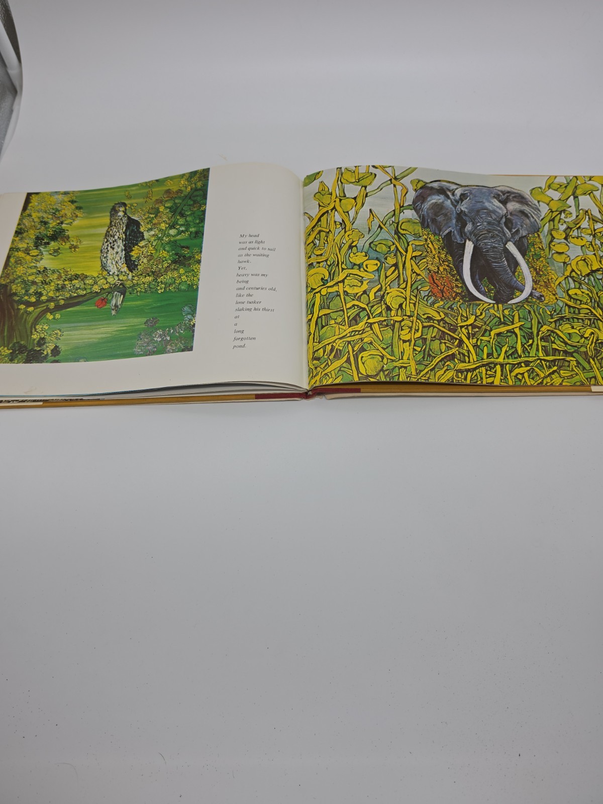 Romany Free by Robert Vavra Fleur Cowles First Edition 1977 Hardcover Book