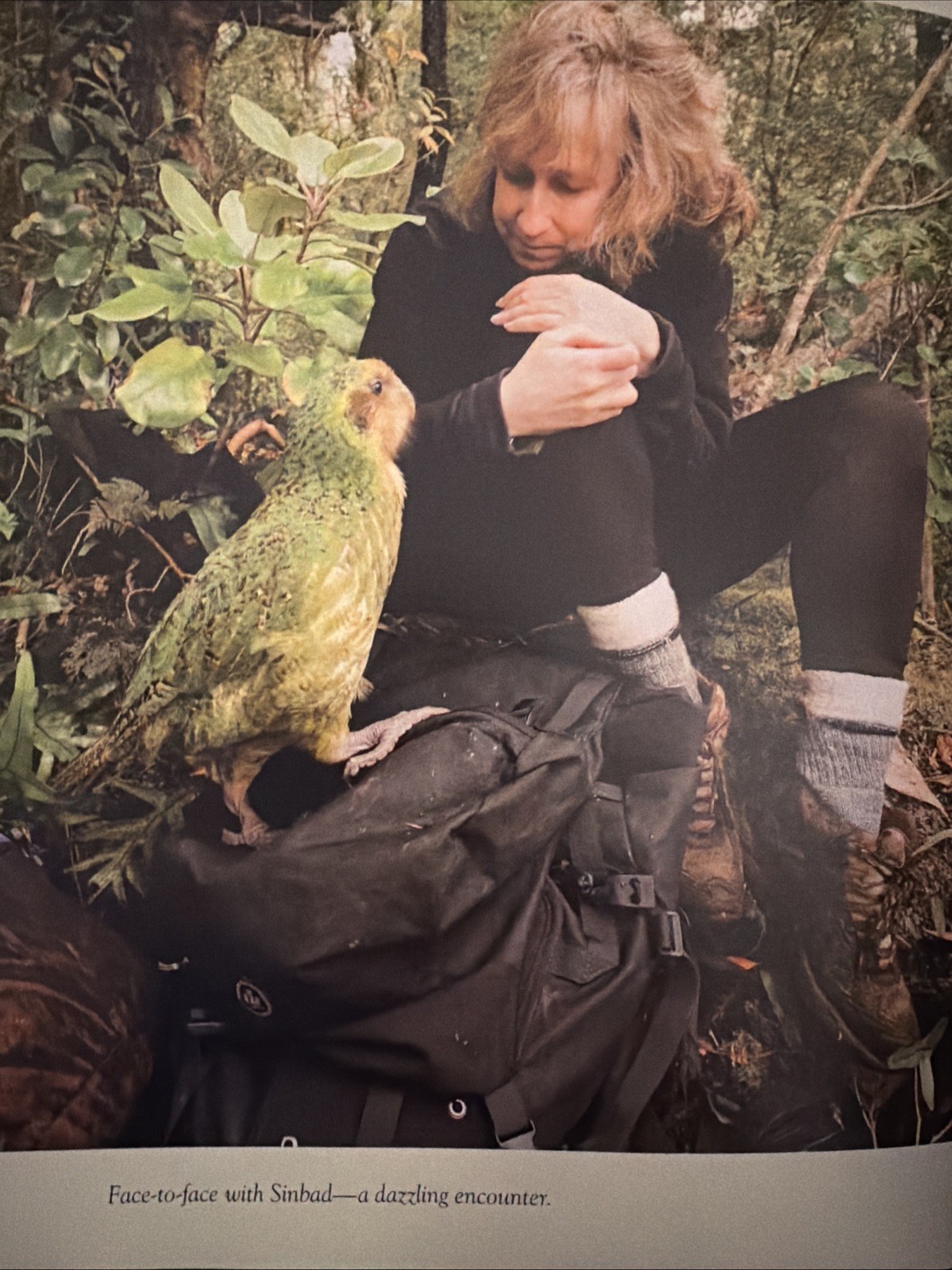 SY MONTGOMERY NIC BISHOP PHOTOS KAKAPO RESCUE SAVING WORLDS STRANGEST PARROT