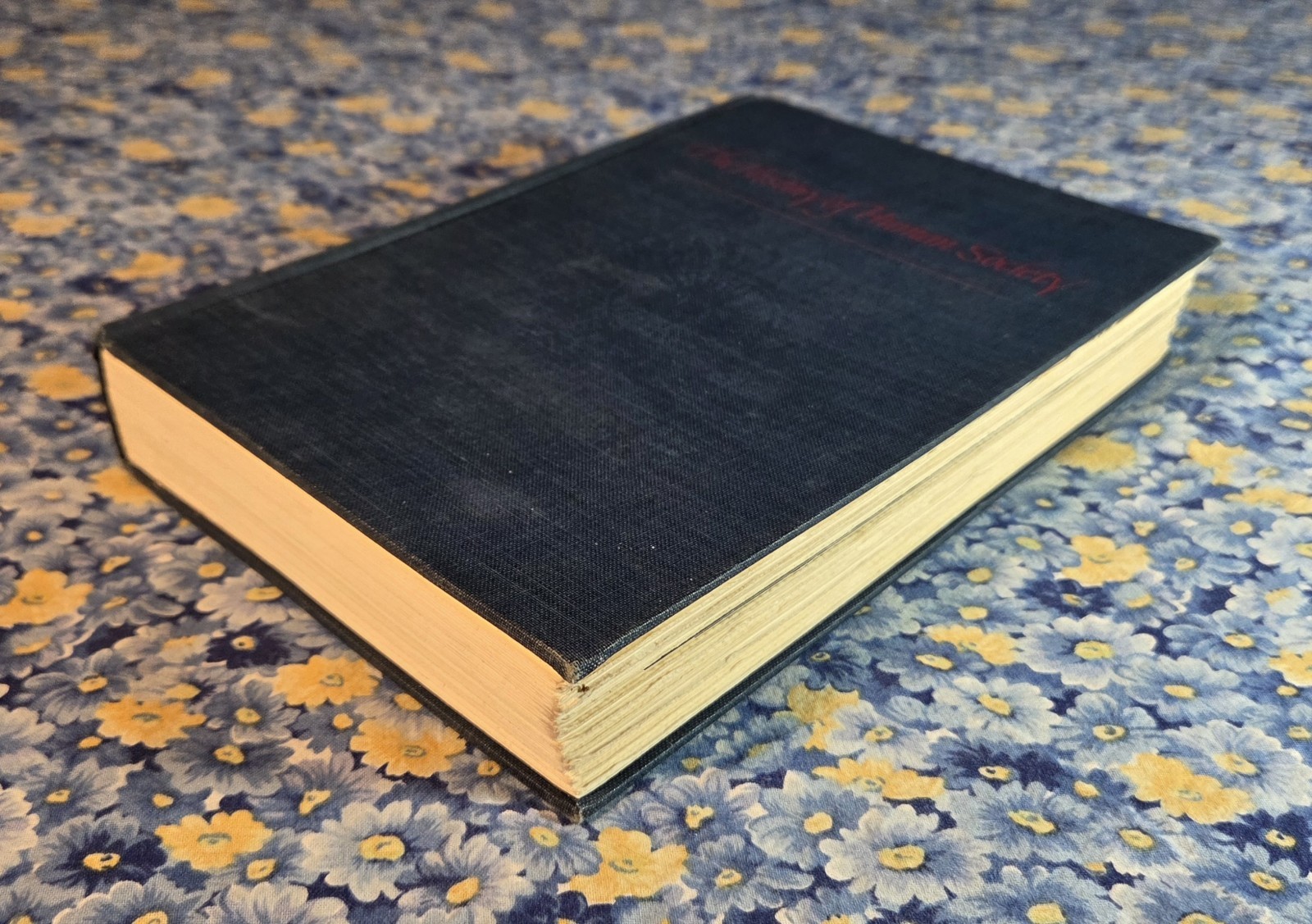 The Dutch Seaborne Empire 1600-1800 History of Human Society 1st Edition 1965 HC