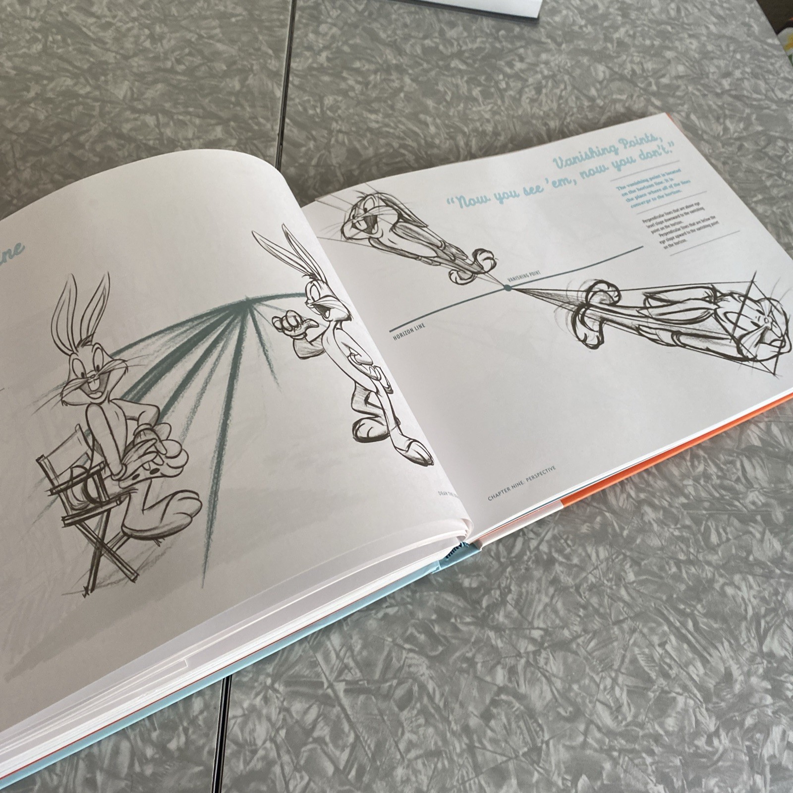Draw the Looney Tunes: Warner Brothers Character Design Manual First edition