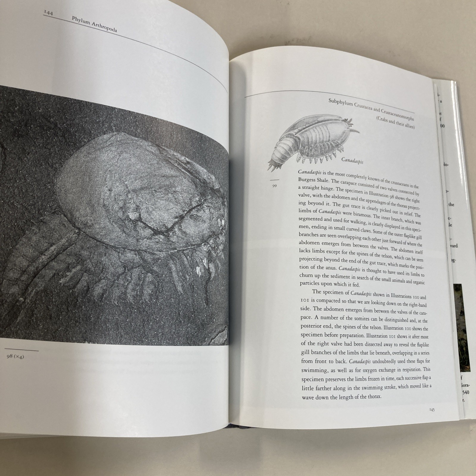 Fossils of the Burgess Shale HC DJ Collier, Erwin & Briggs 1994 Smithsonian Good