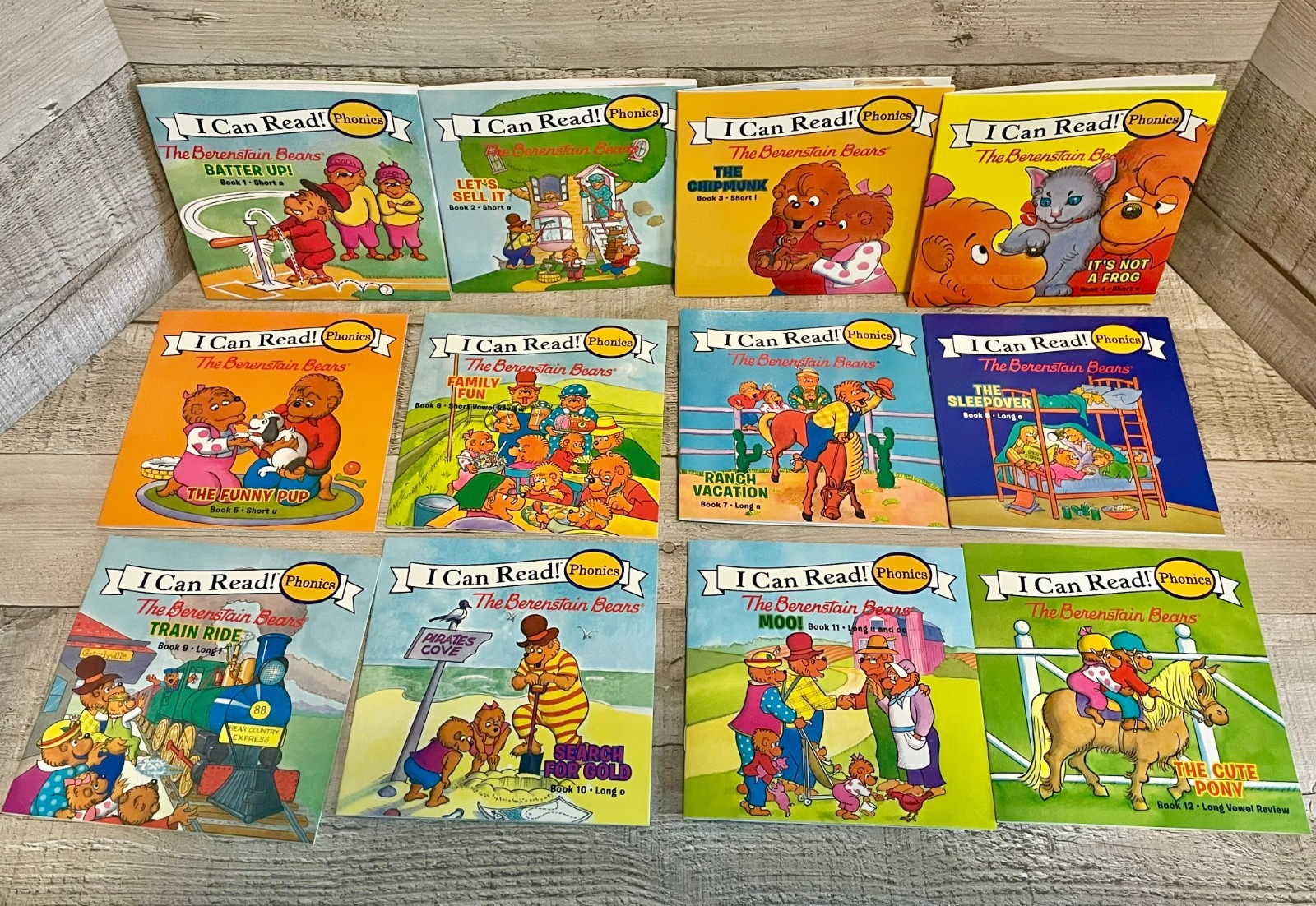 I Can Read Phonics Berenstain Bears (12) & Little Critter (12) 24 Books