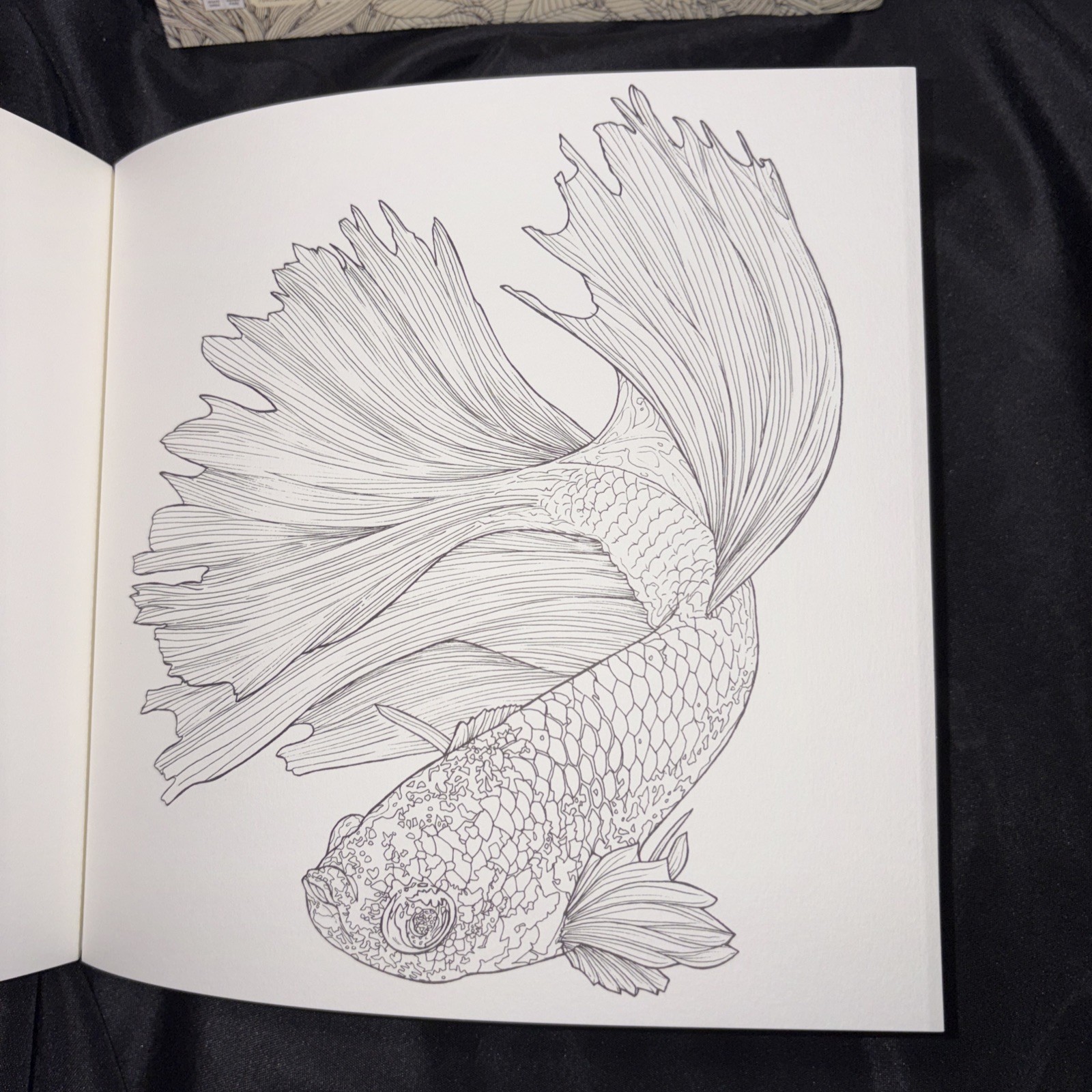 4 Adult Coloring Books by Jade Gedeon On Thick Paper 2016, 2017