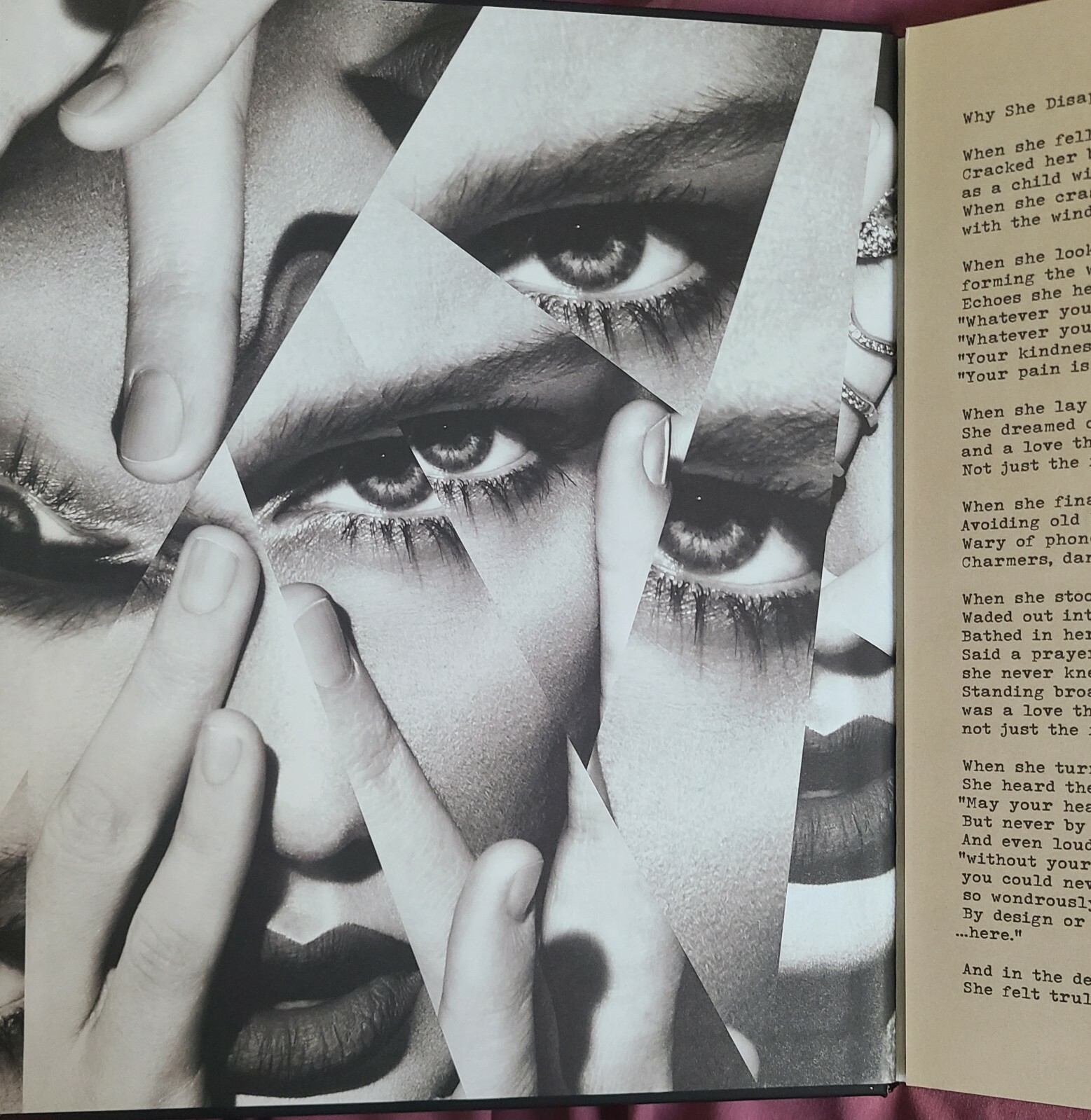 TAYLOR SWIFT Reputation Limited Edition VIP Tour Book (Hardcover)