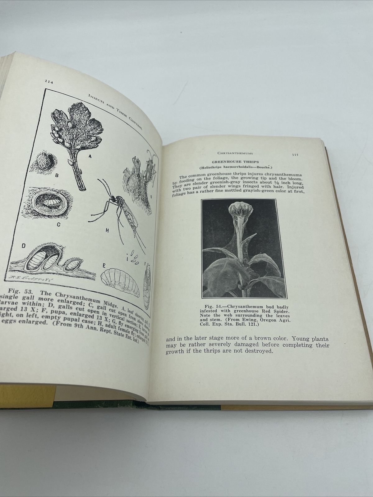 Insects And Their Control By Andrew Wilson 2nd Printing 1931 Horticulture Nature