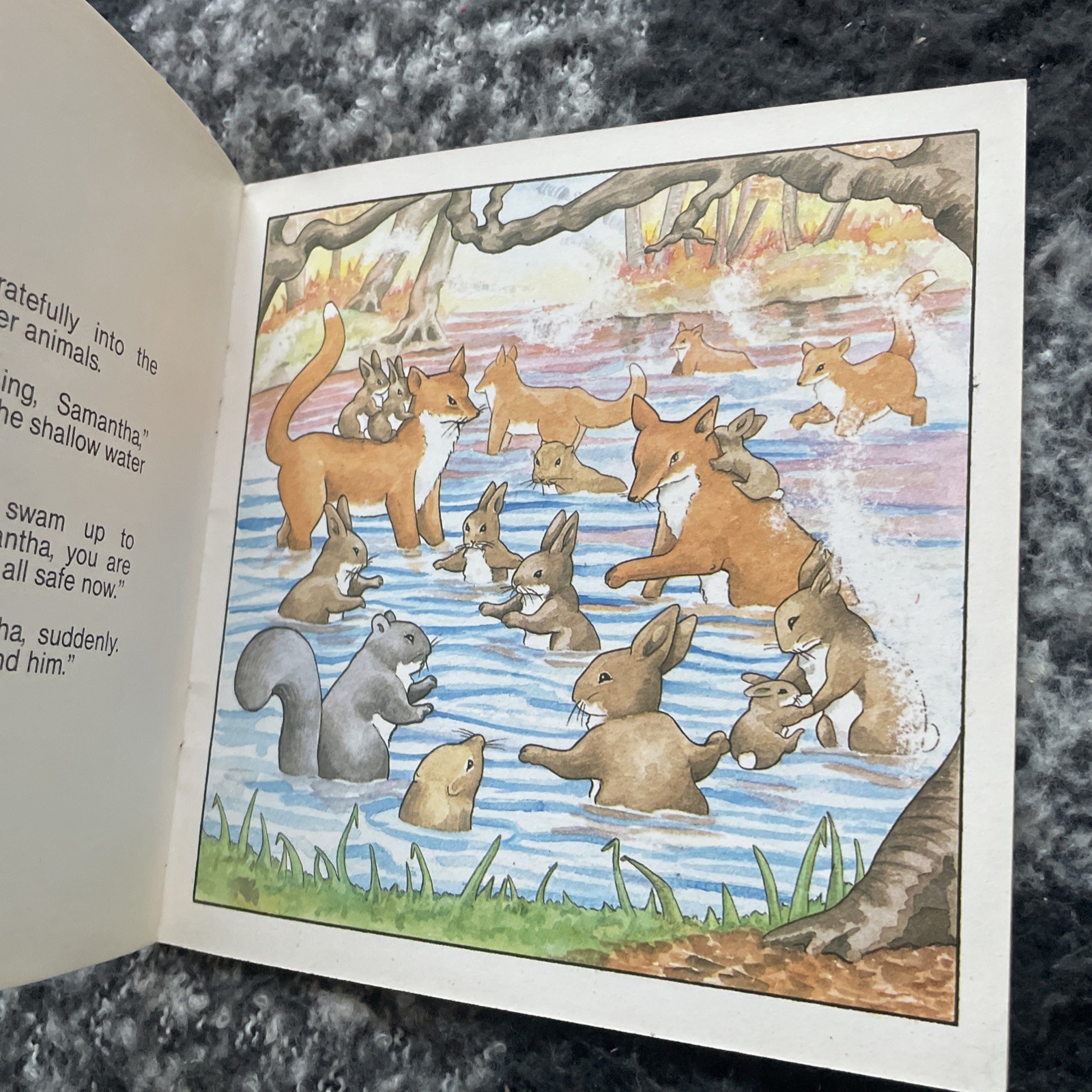 MURIEL MILLER. THE WOODLANDERS. PANIC IN THE WOODLAND. 17 BY 17 CM. 0906791472