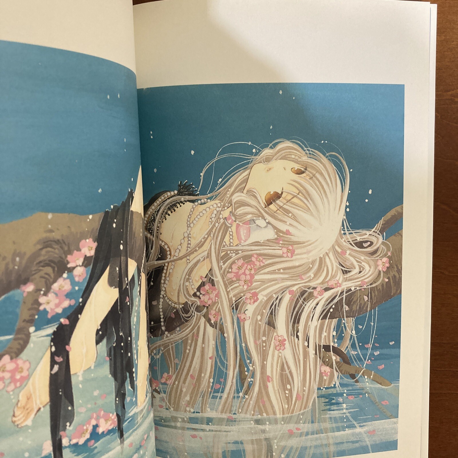 Clamp Chobits Chi Photographics Your Eyes Only Art Book Illustration Anime Manga