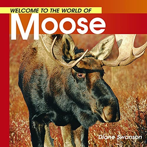 Welcome to the World of Moose – VERY GOOD