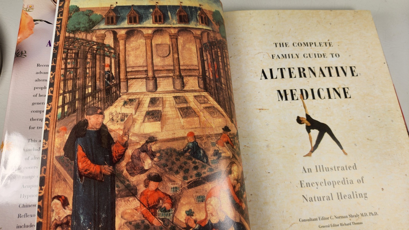 The Complete Family Guide to Alternative Medicine: Illustrated HC DJ 1996