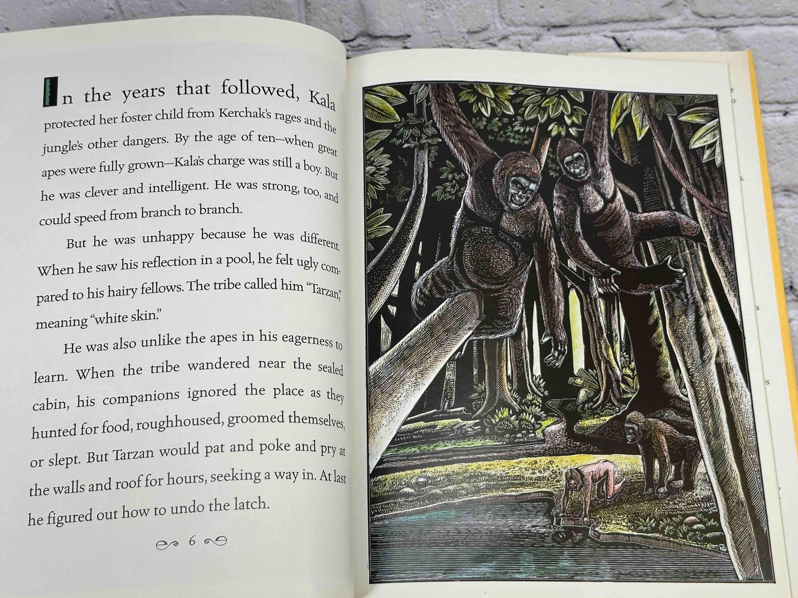 Tarzan by Robert D. San Souci, Michael McCurdy [1999]
