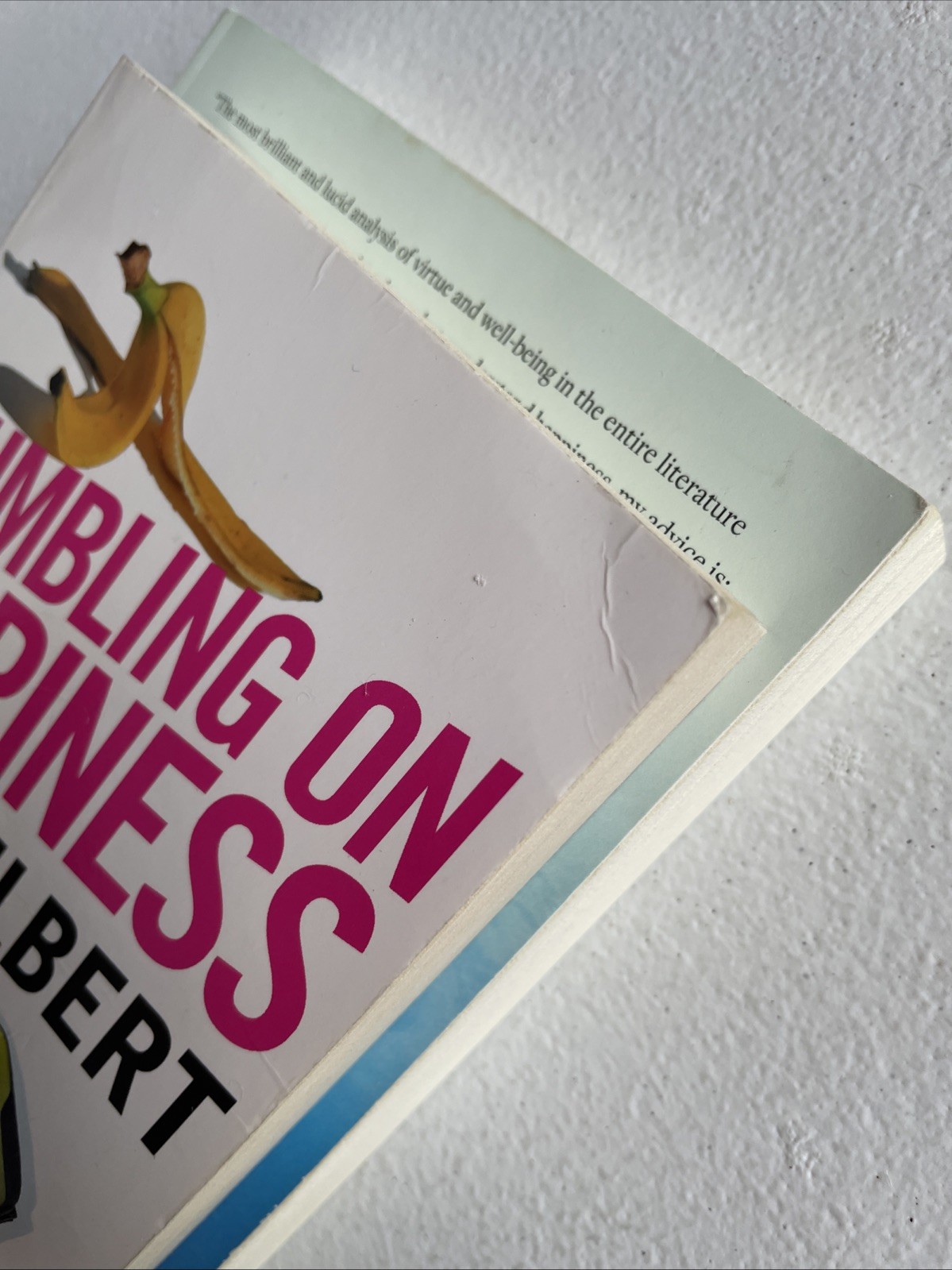 Happiness Hypothesis : Finding Modern Truth in Ancient Wisdom by Jonathan Haidt