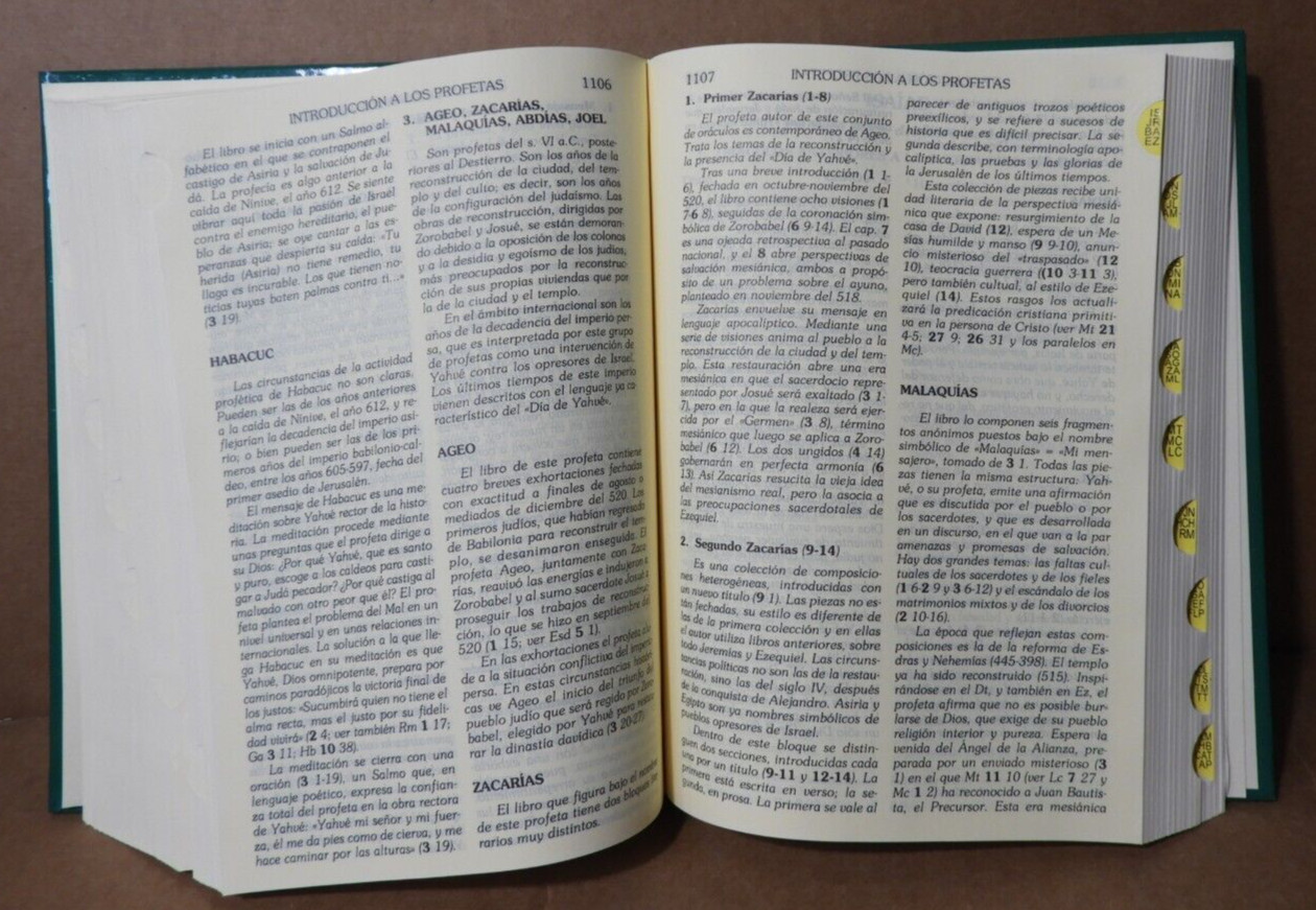 BIBLIA DE JERUSALEN (LATINOAMERICANA) LETRA GRANDE 2007 BILBAO,SPAIN EX!