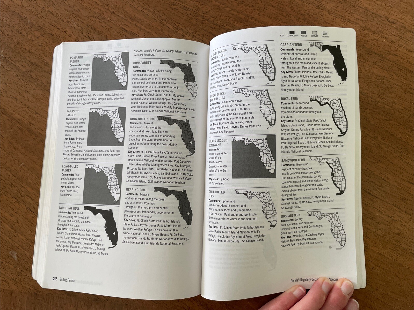 Birding Florida: More Than 200 Prime Birding Sites in 54 Locations PB 2007