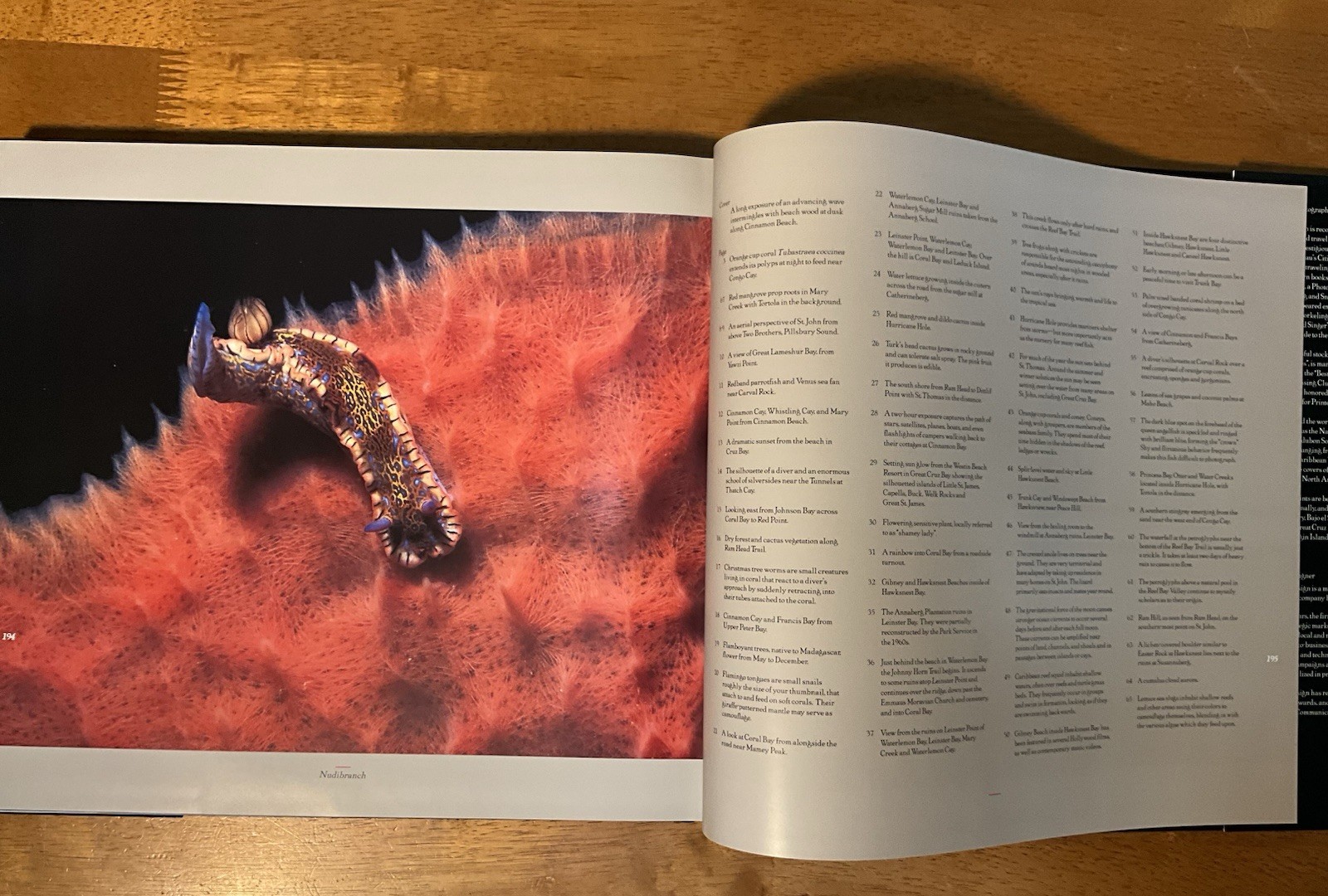 St. John U.S.V.I. Living Art Simonsen 2003 SIGNED Caribbean Photography 2nd Ed.