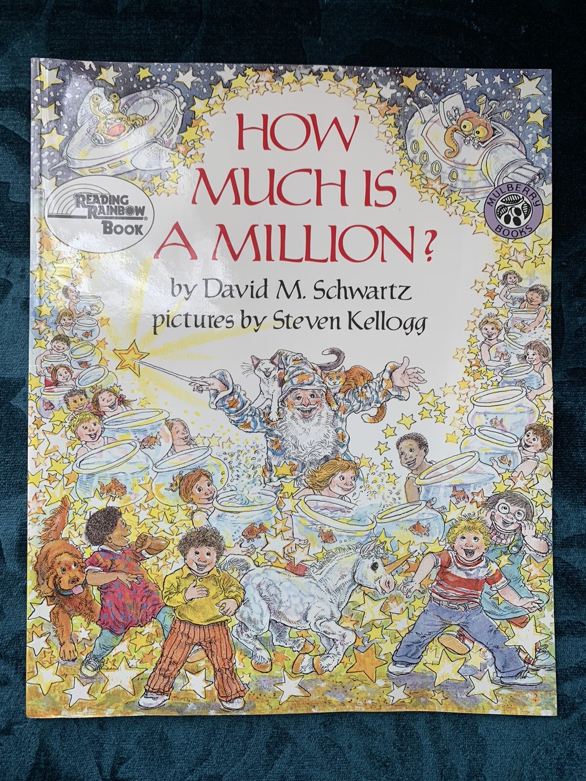 How Much is a Million? David Schwartz Steven Kellogg 1985 Mulberry 0688099335