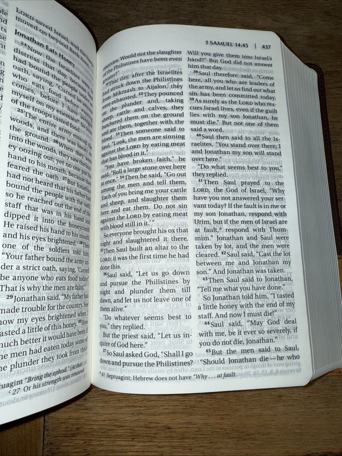 NIV Bible, Brown Duo-Tone Leather-Soft Cover, Zonderman – EXCELLENT