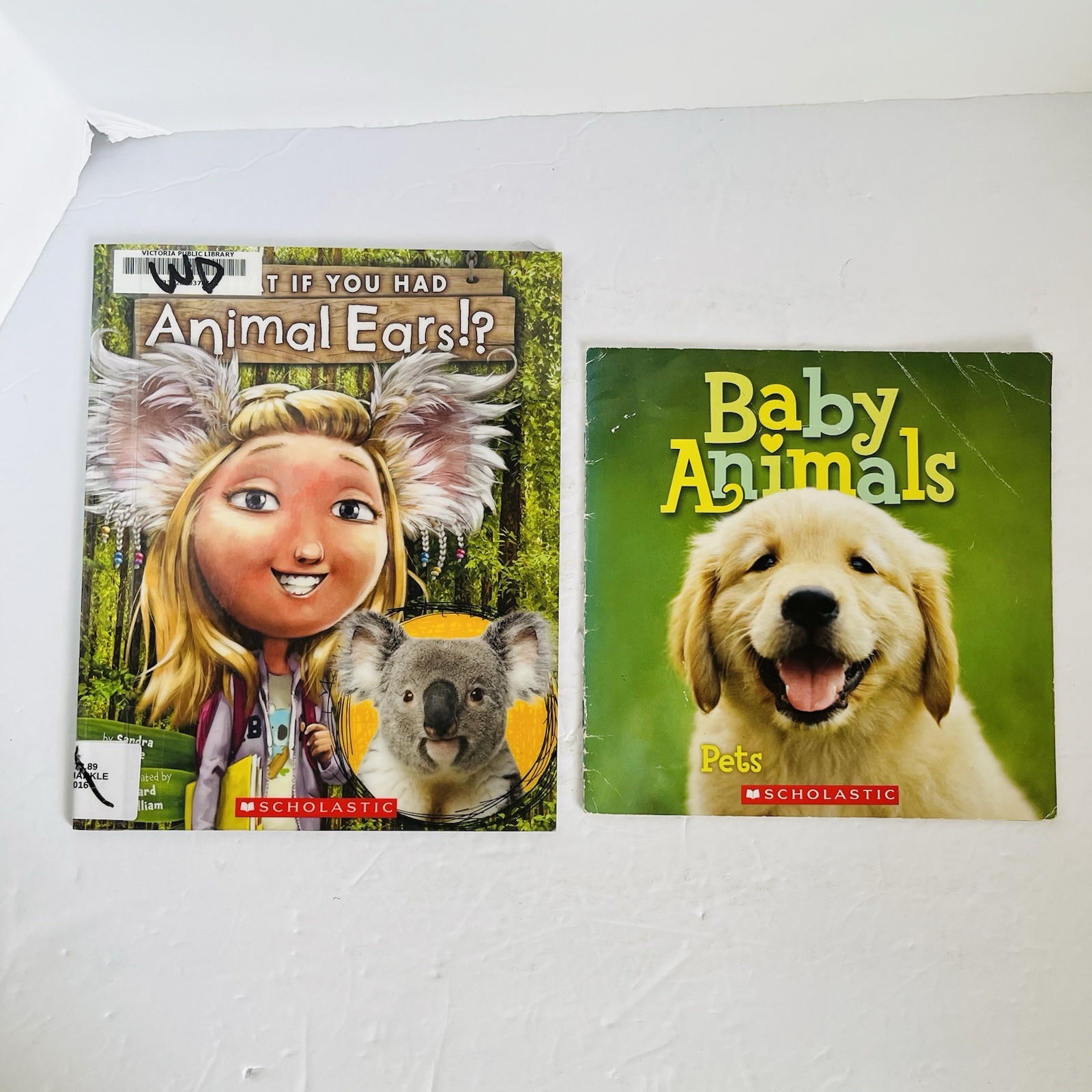 Animal Science Nature Book Lot 8 Classroom Homeschool Hibernation Baby STEM