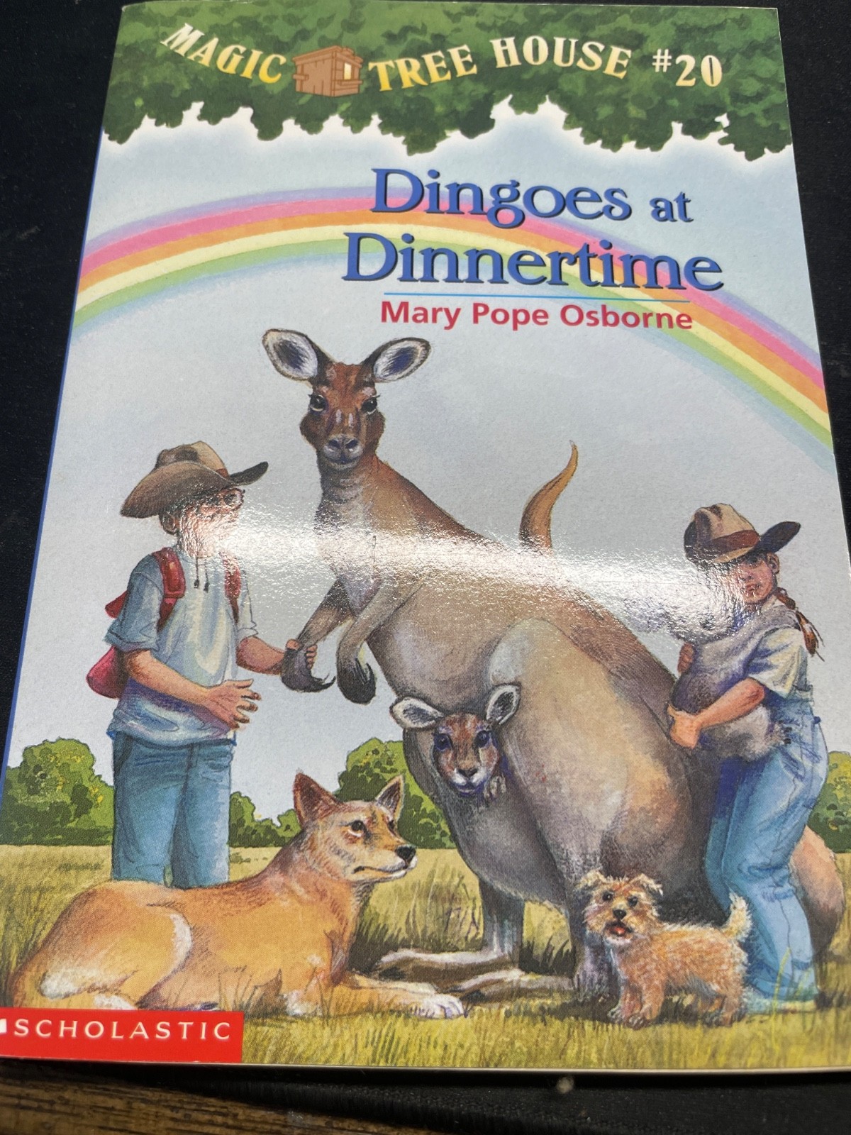 Dingoes at Dinnertime by Mary Pope Osborne (2000, Trade Paperback)