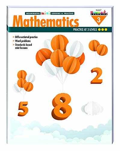 Mathematics Meaningful Mini-Lessons – Paperback, by Newmark Learning – Very Good