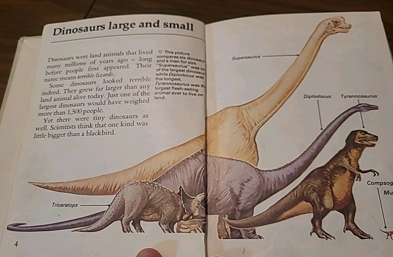 Dinosaurs by David Lambert and L. B Halstead (1983, Hardcover)VTG RARE