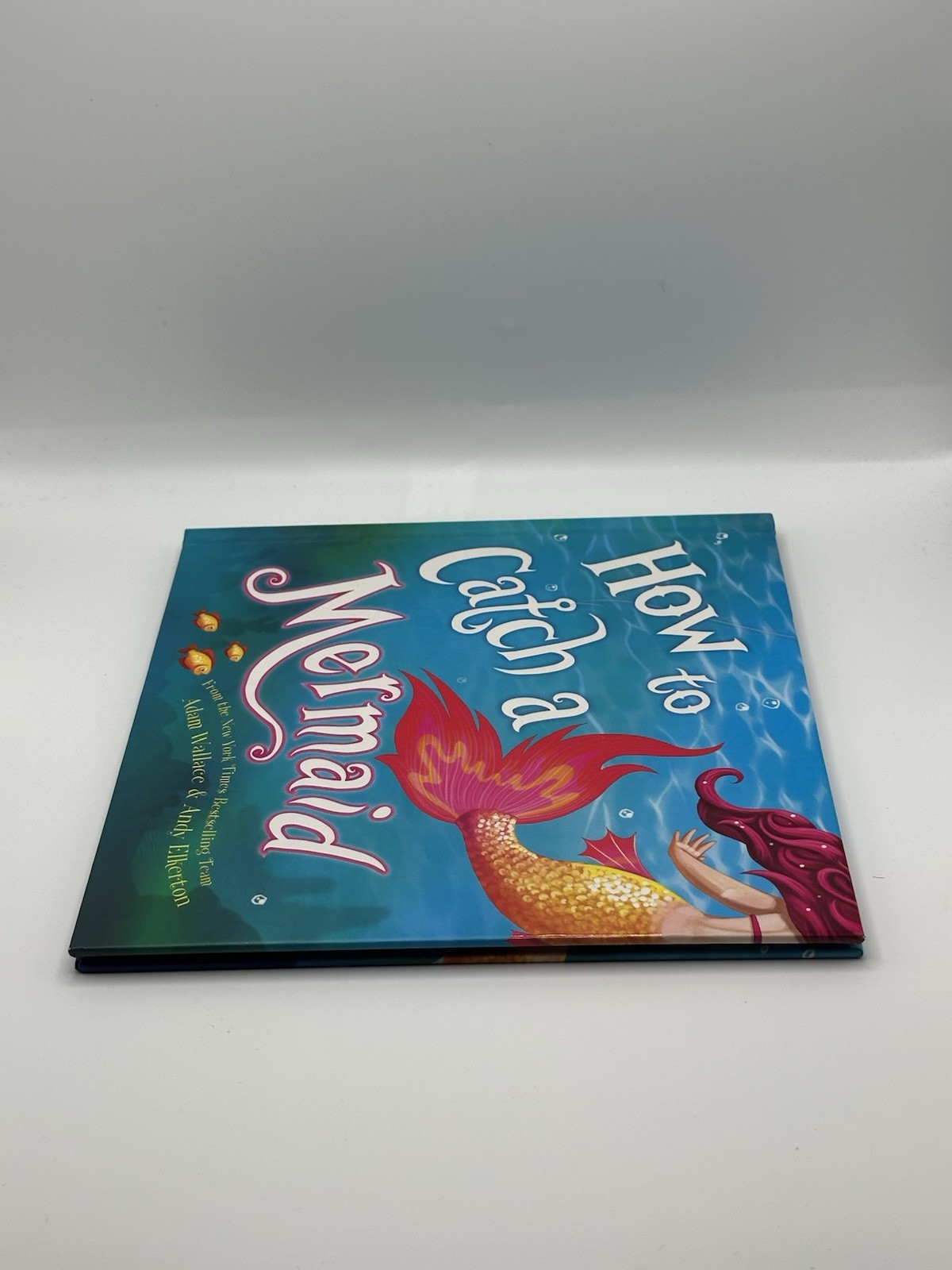 How to Catch a Mermaid by Adam Wallace & Andy Elkerton