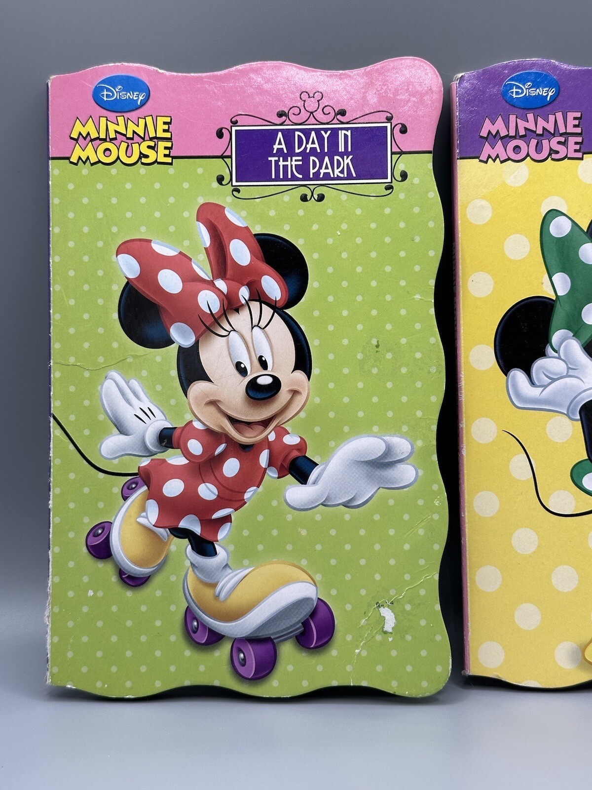 Disney Minnie Mouse Lot Of 2 Book 2013 Feeling Fabulous Day In The Park READ