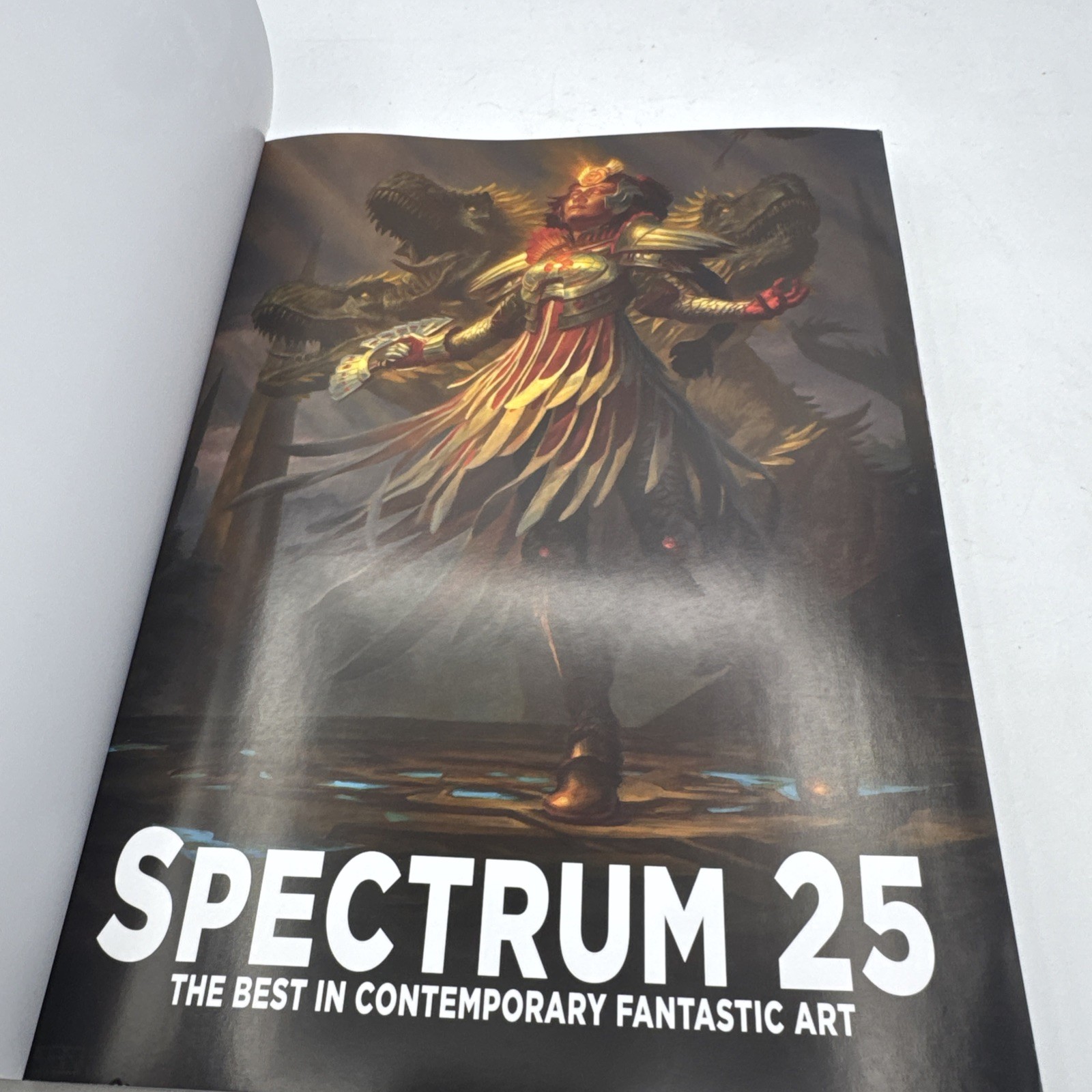 Spectrum 25: The Best in Contemporary Fantastic Art, Soft Cover Very Good Book