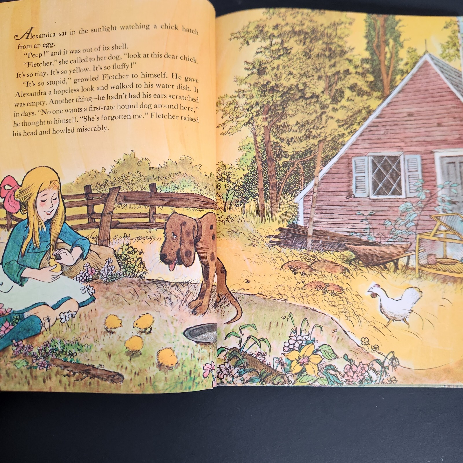 How Fletcher Was Hatched by Wende and Harry Devlin 1969 Parents Magazine Press