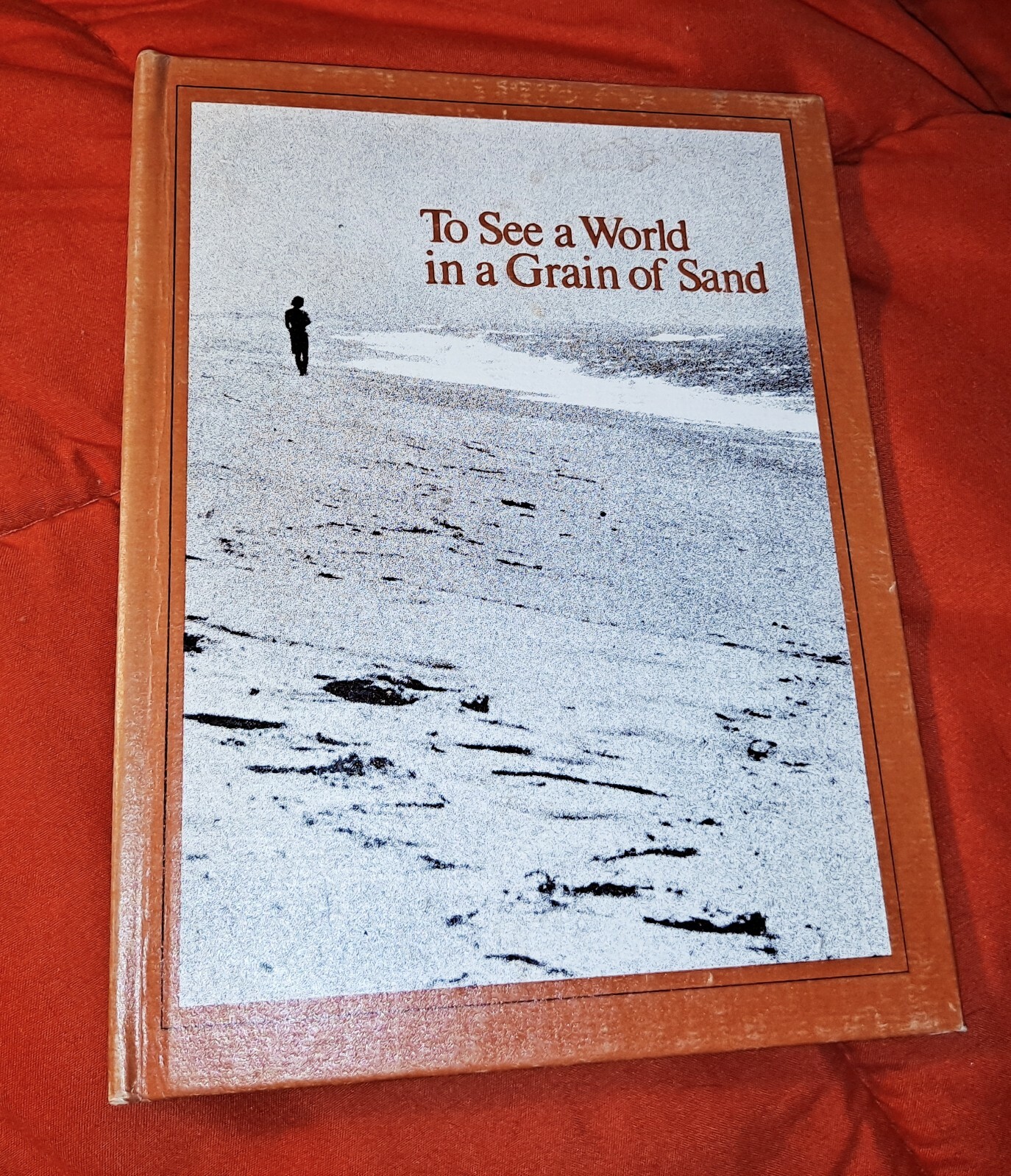 To See a World in a Grain of Sand by Caesar Johnson, 1972, 61 pages, Hardcover