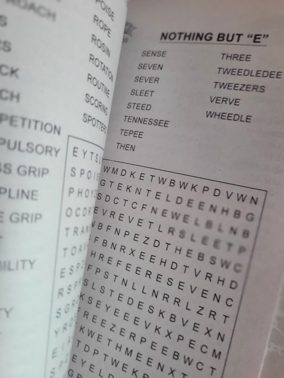 Kappa Word Seek Puzzles- Lot of 2-Extra Large & Blue Ribbon-For The Whole Family