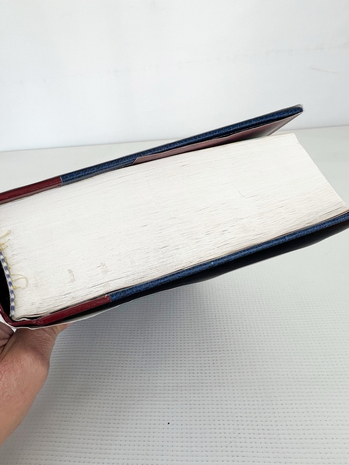 The Woman’s Study Bible Opening the Word of God to Women by Thomas Nelson