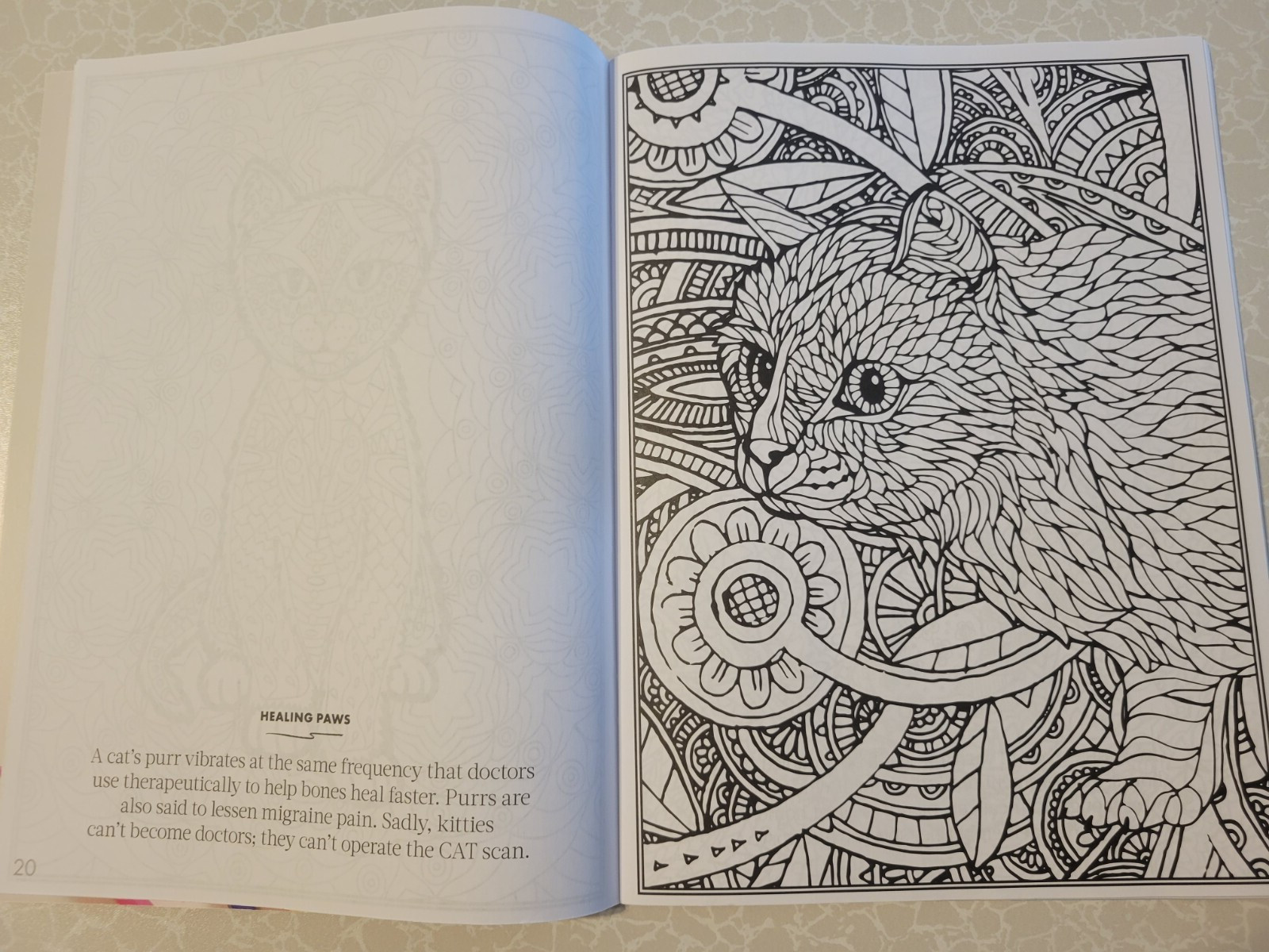 CAT COLORING – 32 Inspiring Designs for Adults -Relax & Enjoy -Escape & Breathe