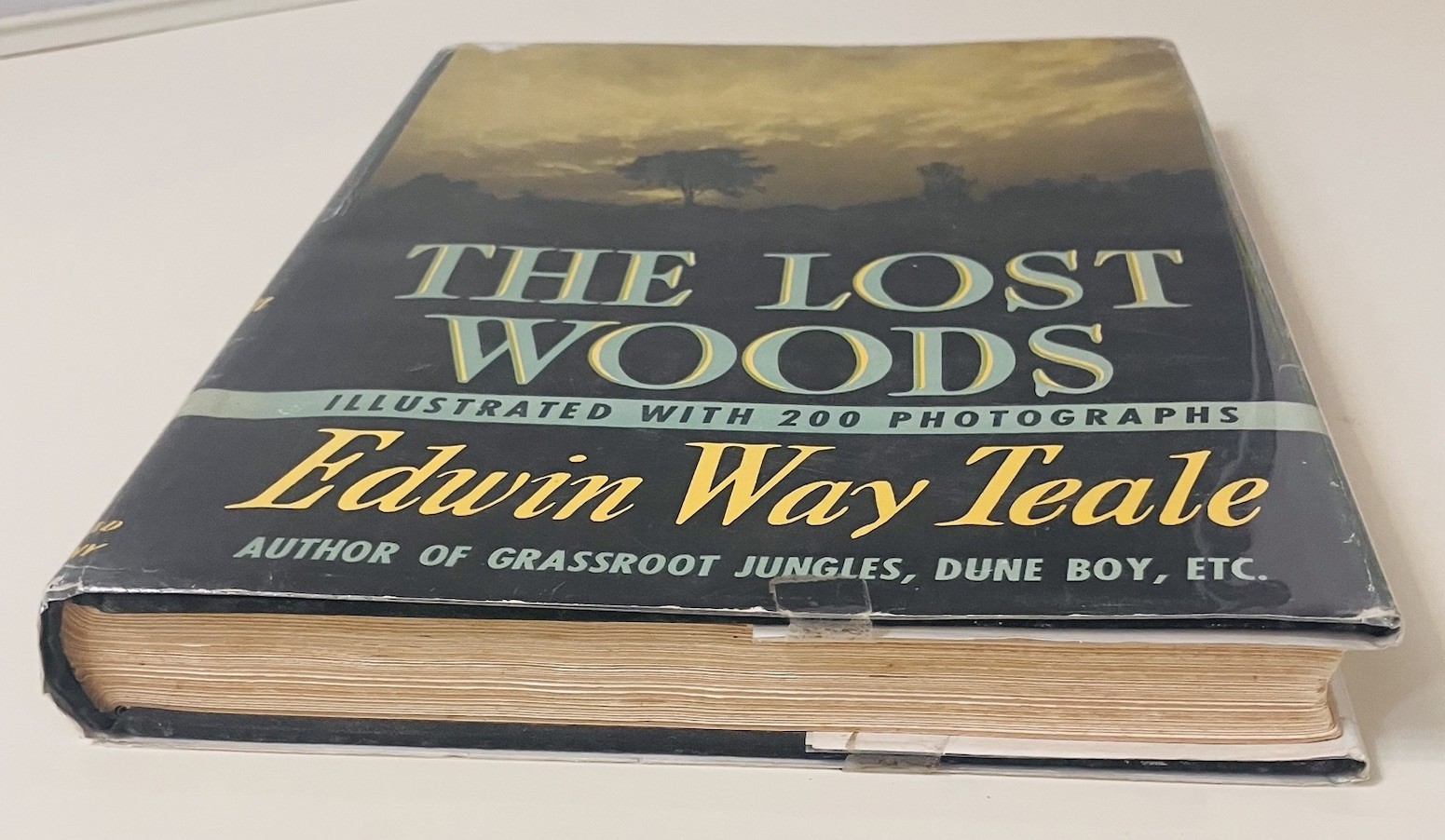 The Lost Woods – Edwin Way Teale – 1945 HC 1st Ed w/ Dust Jacket
