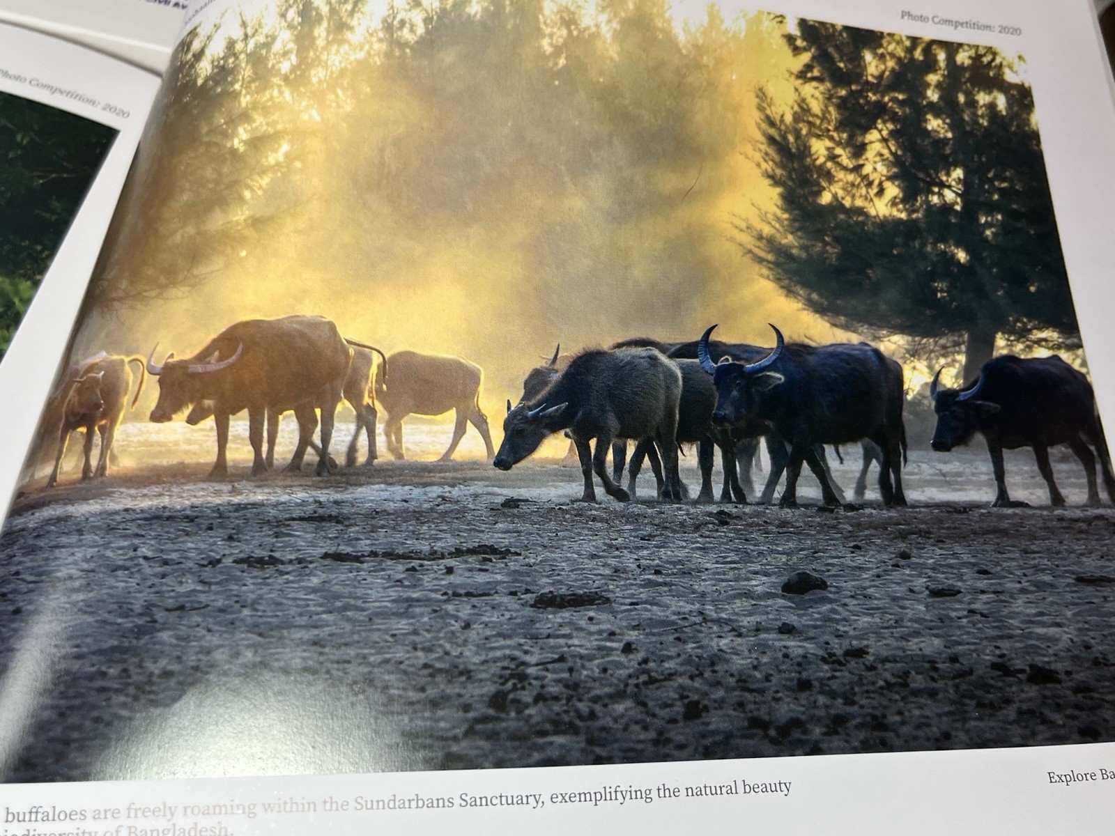 Explore BANGLADESH Coffee Table Book 11”x8” Full Page Photos 152 Pages Hardcover