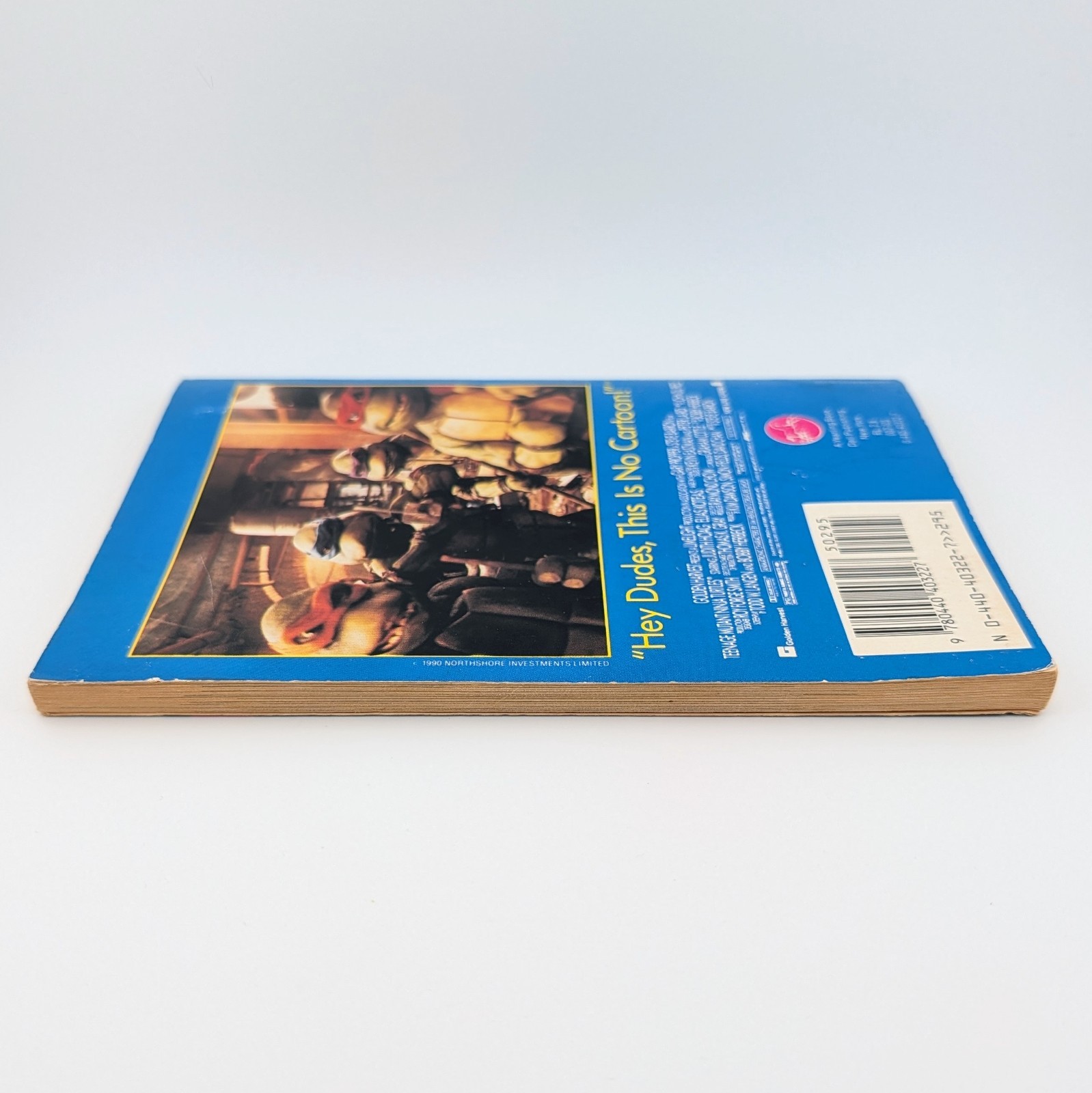 Teenage Mutant Ninja Turtles TMNT – BB Hiller 1990 Vintage Movie Tie-in PB