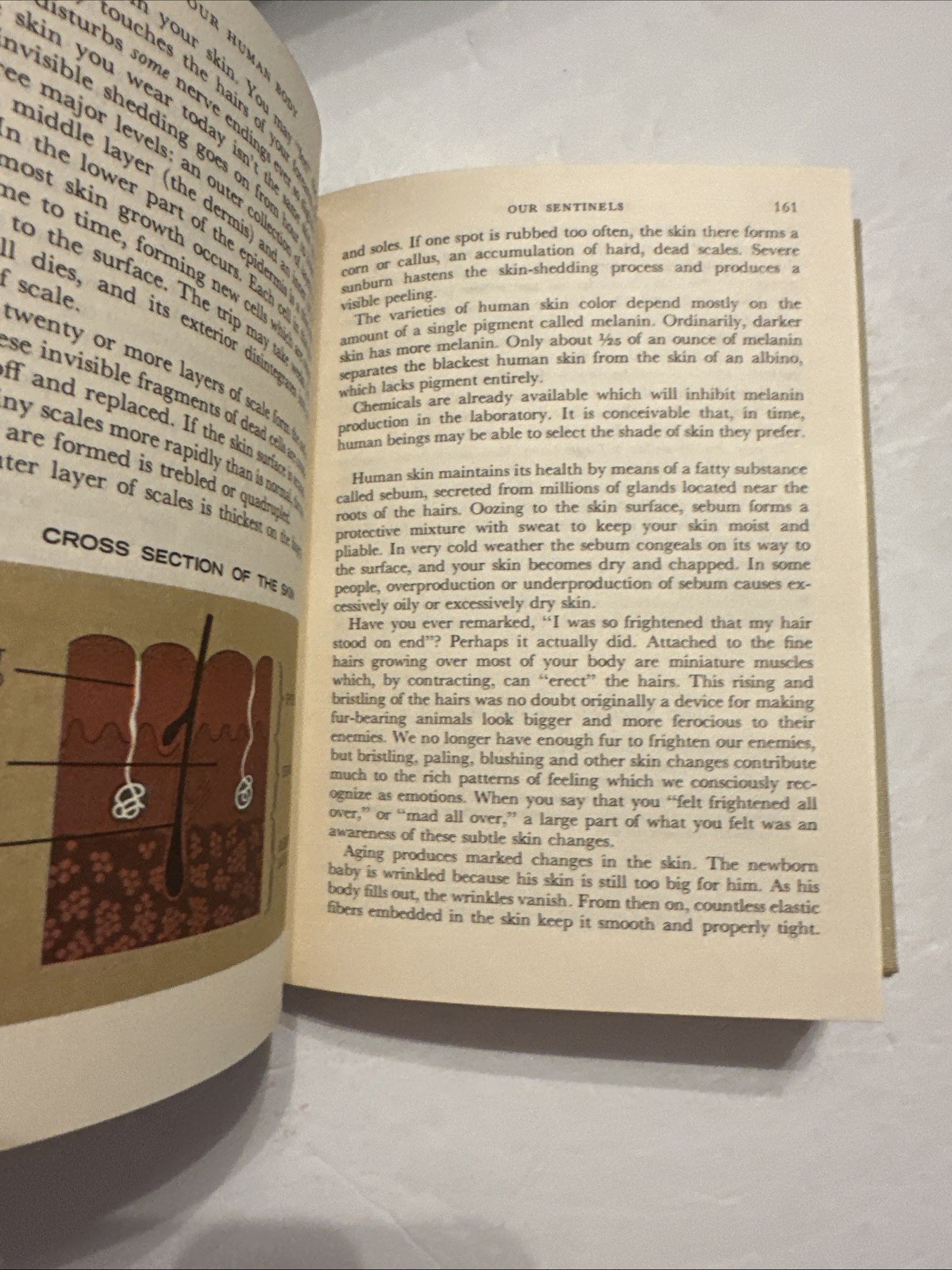 Our Human Body Its Wonders & Its Care Reader’s Digest Hardcover 1962 w/ Case