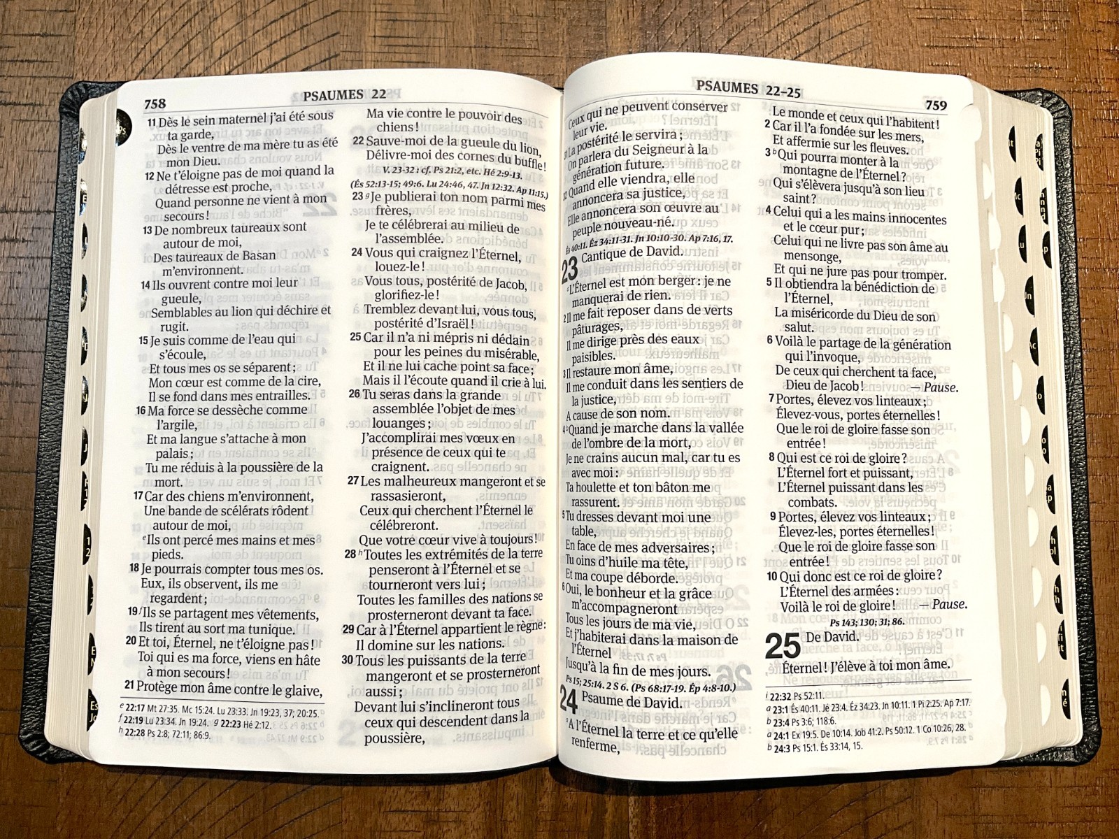 French Bible LARGE PRINT, Segond 1910 Bonded Leather Thumb Index, Red Letter