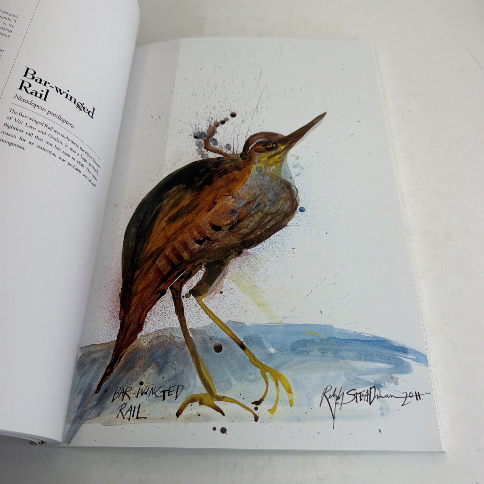 Extinct Boids by Ceri Levy and Ralph Steadman 2020 Bloomsbury Wildlife Trade PB