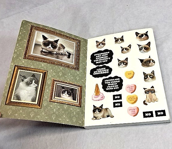 Grumpy Cat Journal w/Stickers 192 Pages Pre Owned Unused