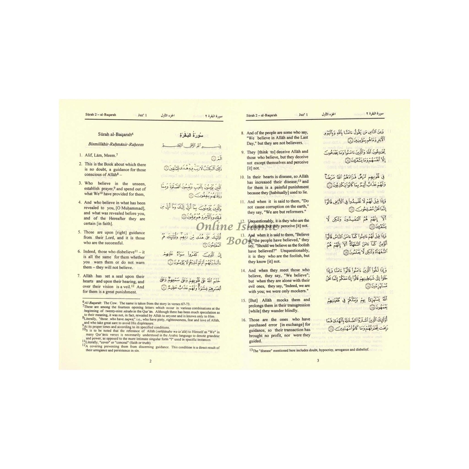 The Quran (Arabic Text with Corresponding English Meaning) 6.5 X 4.6 INCH