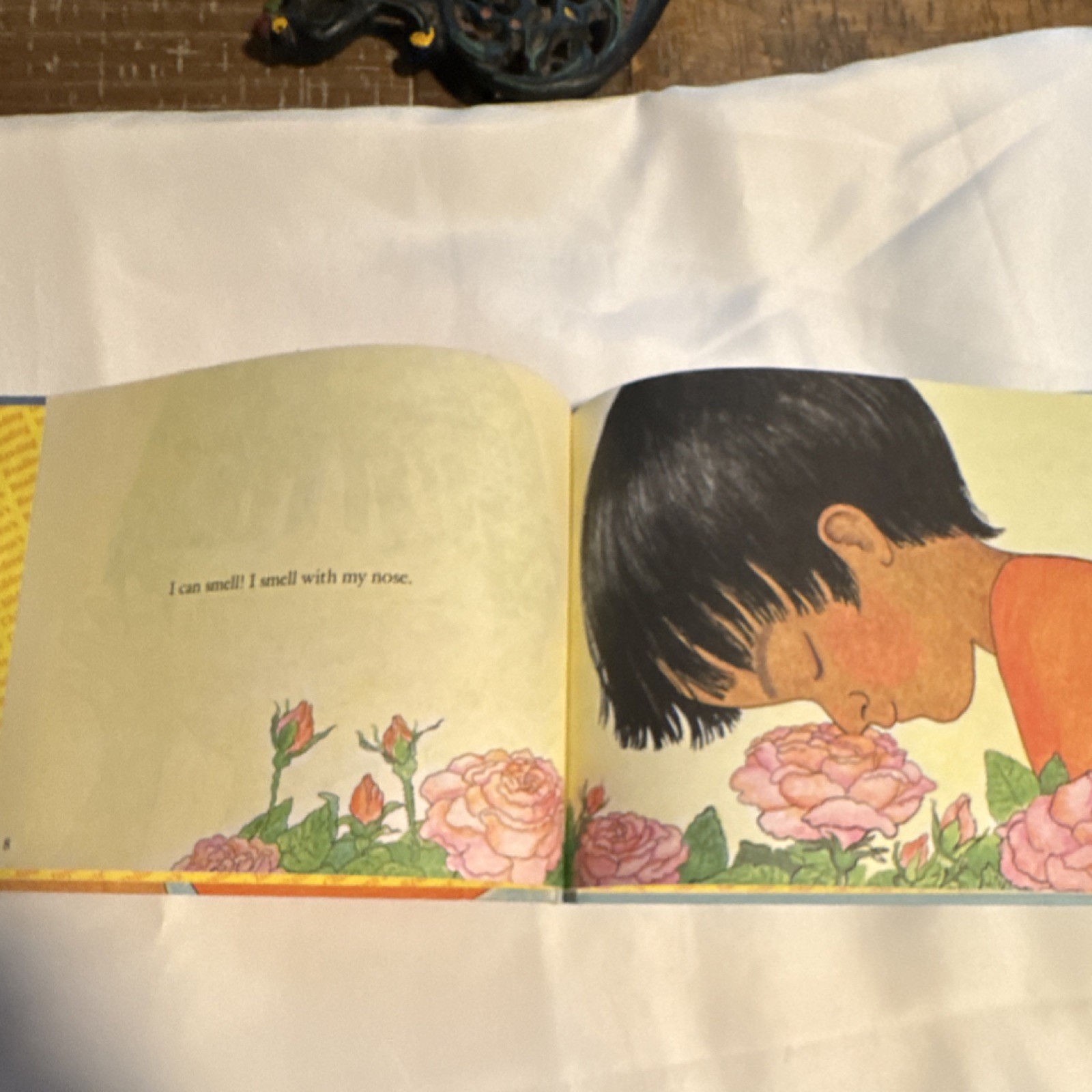 My Five Senses Hardcover Illustrated Picture Book by Aliki Ages 4-8