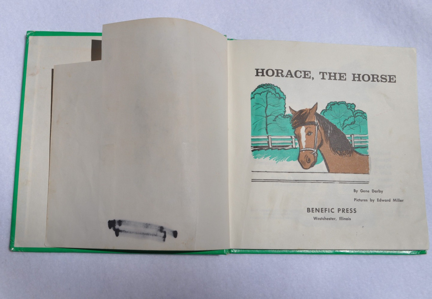 Horse Books For Kids: Horace, The Horse; Thunderhoof +vinyl record; Baby Horses