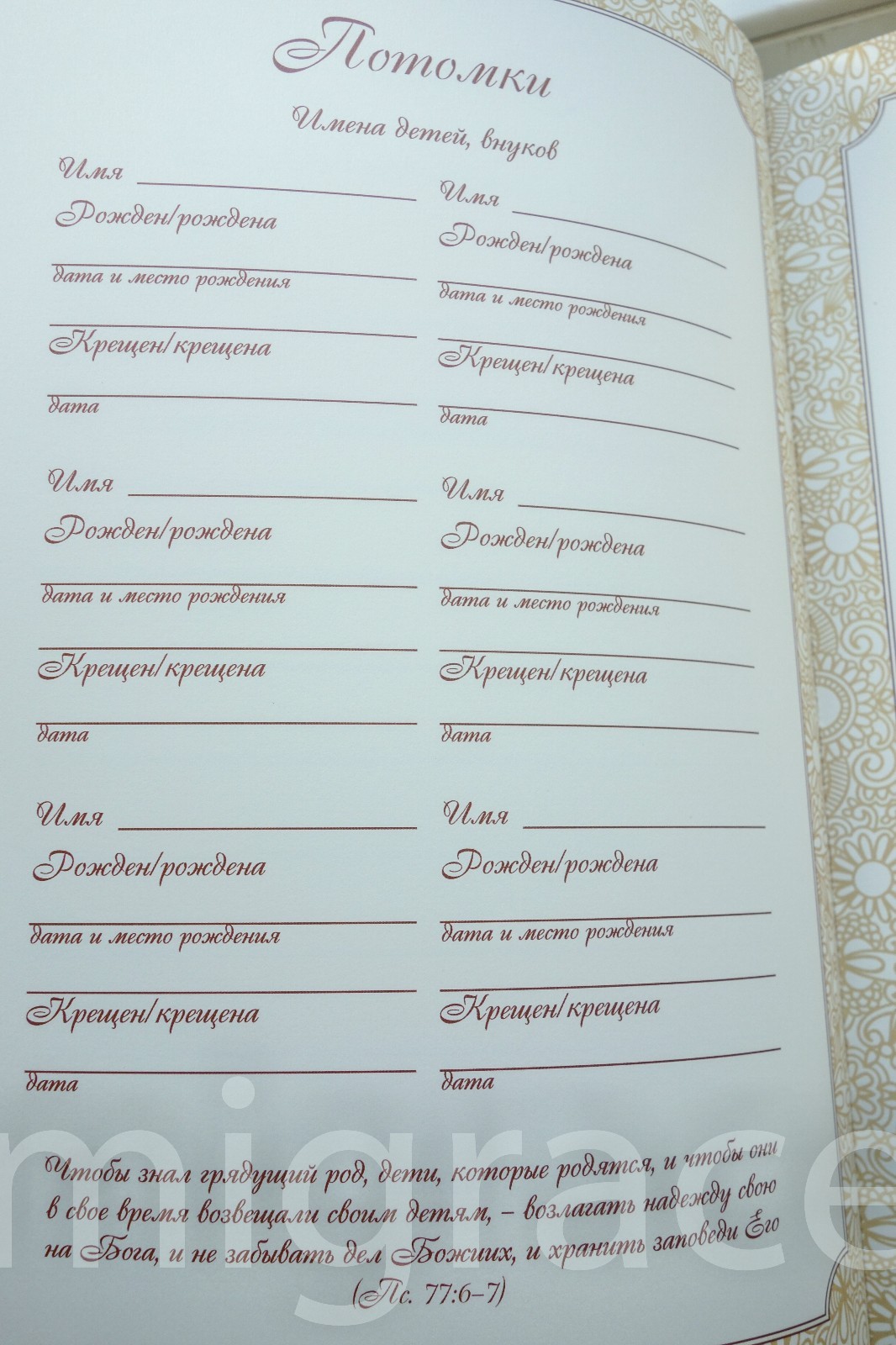 RUSSIAN Table FAMILY Bible soft cover, Indexes 29x22cm Gift Box Present Библия