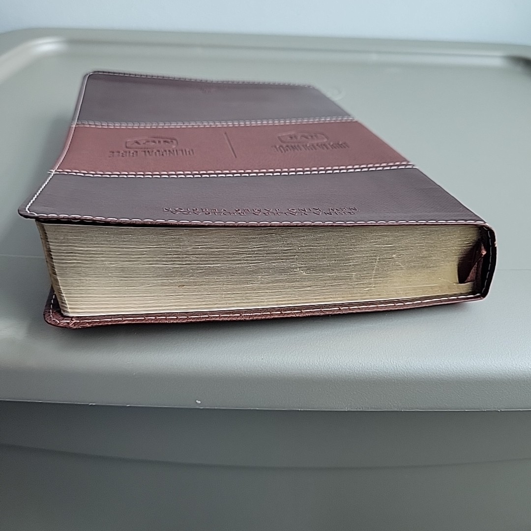 Biblia Reina Valera Revisada RVR Bilingual Bible NKJV Gold Leather NELSON