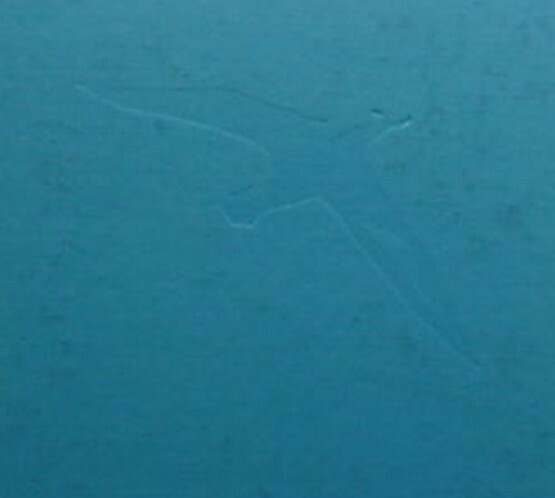 ALBATROSS OF MIDWAY ISLAND, 1972 BOOK (LAYSAN ALBATROSS