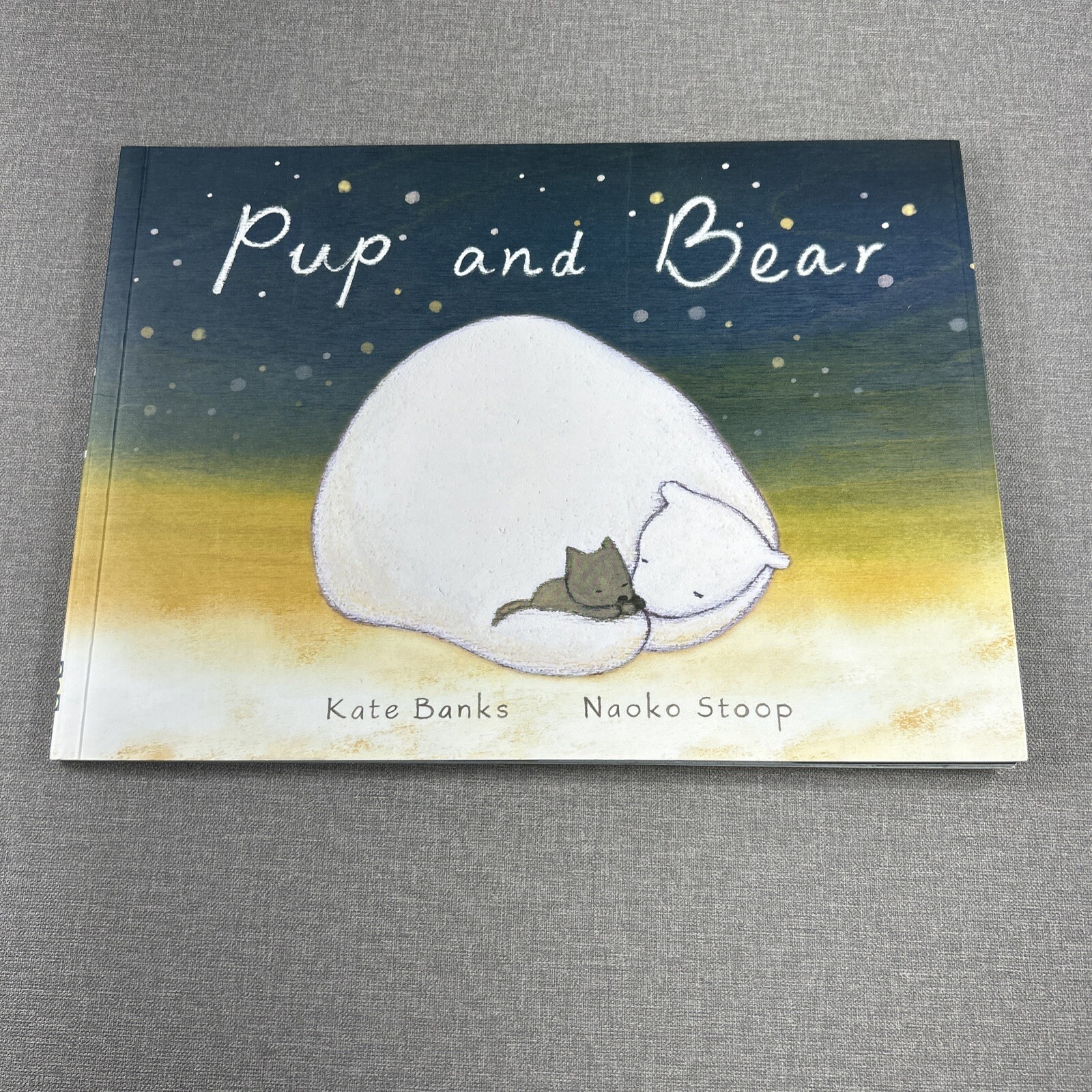 Imagination Library Bunny Silly Goose Pup and Bear Llama 5 Paperback Book Lot