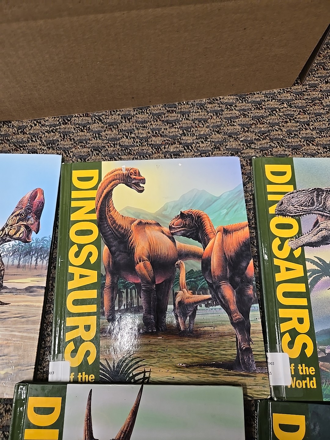 Dinosaur Fact Dig 10-Book Series – 5 Brand New Hardcover Volumes